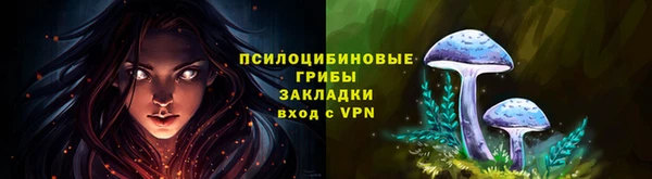 a pvp Алексин